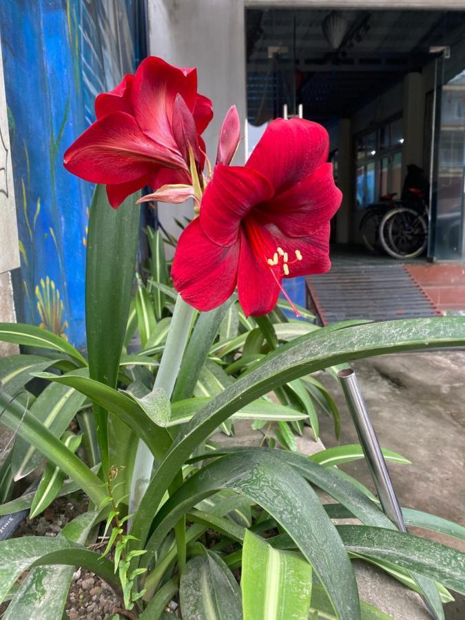 Thien Thanh Hotel Phong Nha Esterno foto