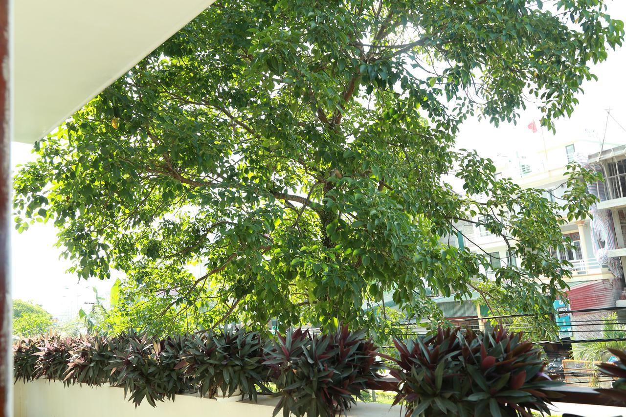 Thien Thanh Hotel Phong Nha Esterno foto